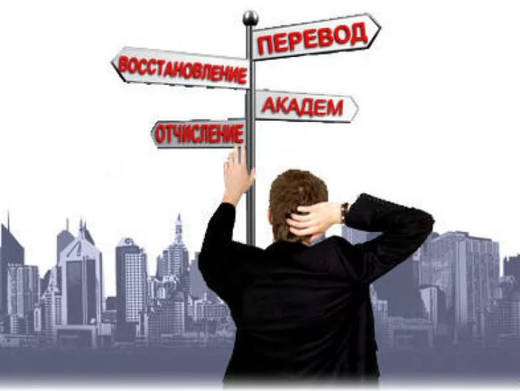 Перевод из вуза в вуз 2026: главная ошибка, документы, потеря времени и перевод на дистанционку   